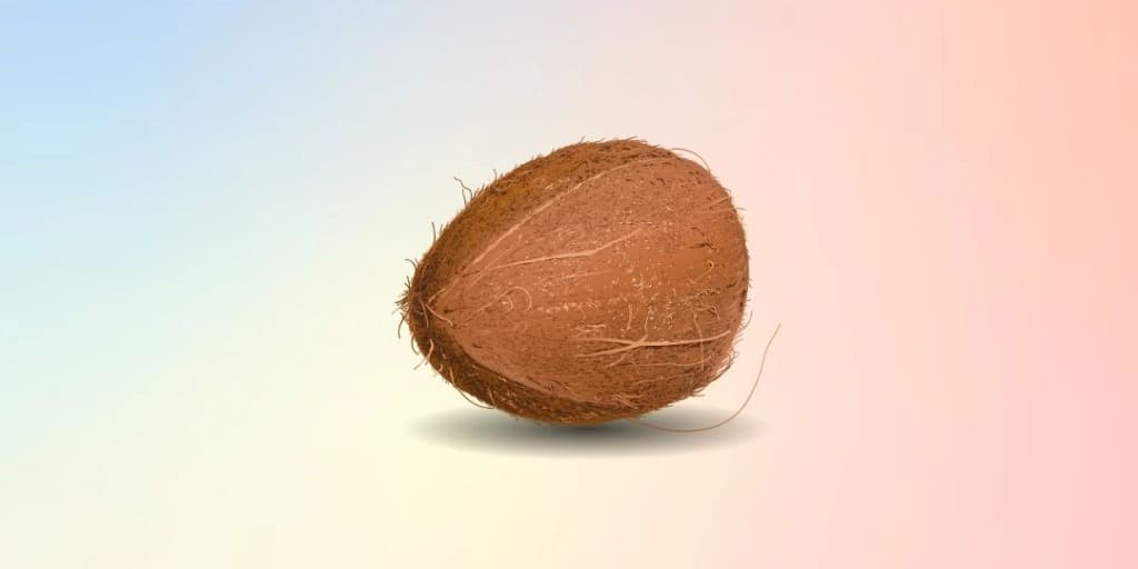 Coconut